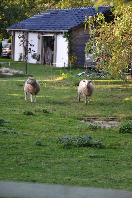 Ferienwohnung Landhaus Questin Alt Bukow Exterior foto